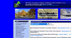 Desktop Screenshot of nesholsteins.com